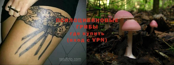 СК Абдулино