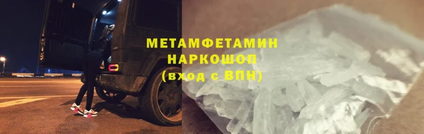прущие грибы Новозыбков