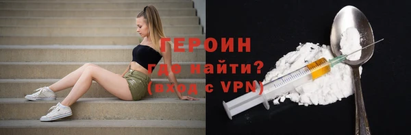 прущие грибы Новозыбков