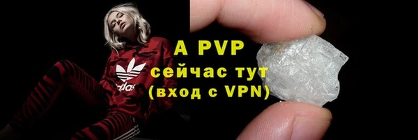 гидра Алексеевка