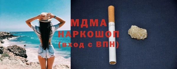 прущие грибы Новозыбков