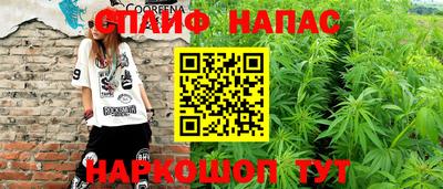 сатива Кулебаки