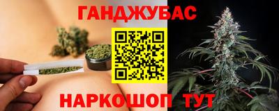 сатива Кулебаки