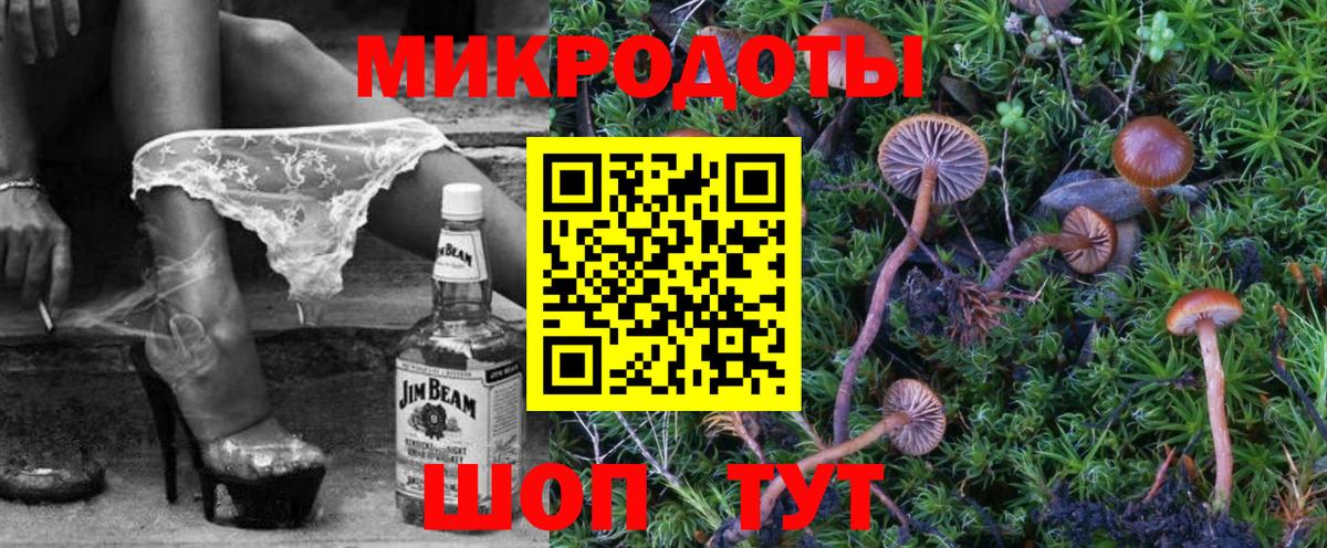 Южноуральск  Псилоцибиновые грибы Cubensis  Вход с VPN 