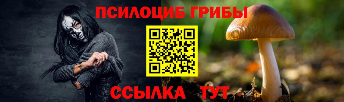 Псилоцибиновые грибы прущие грибы Южноуральск
